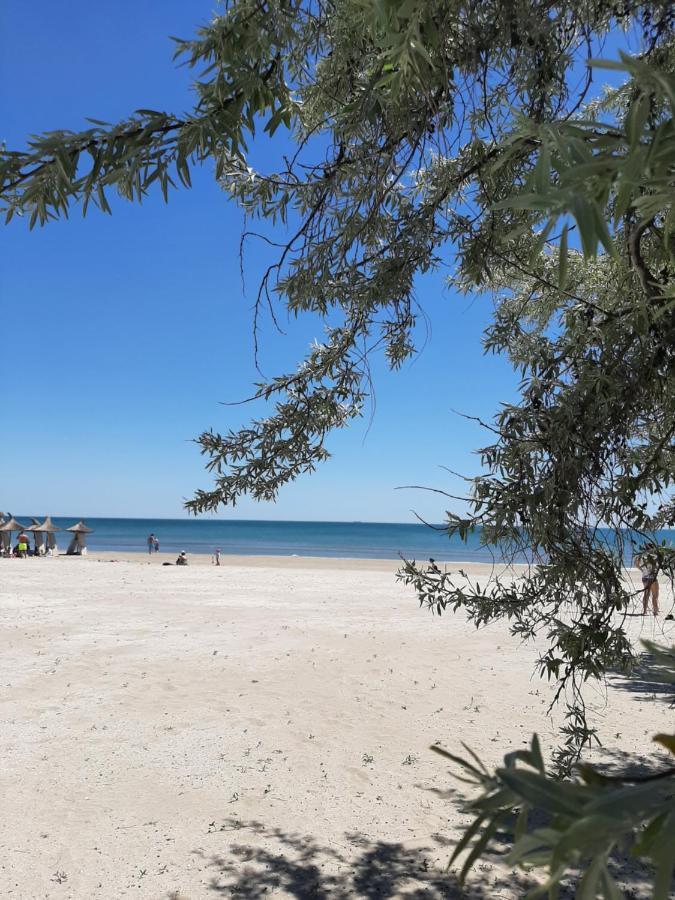 Eka Studio - Pool & Spa Beach Resort Năvodari Екстериор снимка